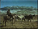 Rustler's Moon by L.D. Edgar, Western Heritage Studio, Cody Wyoming